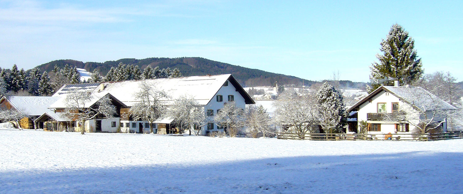 Hof und Ferienhaus im Winter